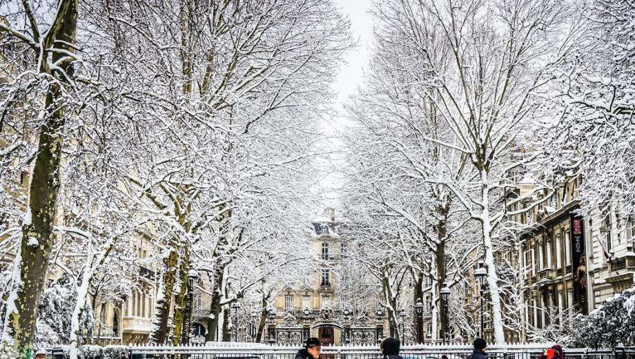 Paris in winter: chic, zen and greedy