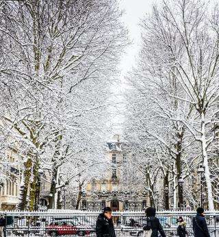 Paris en hiver : chic, zen et gourmand